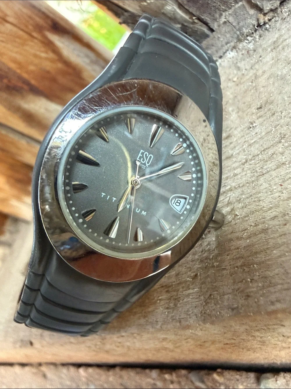 Titanium Women’s ESQ Swiss Watch